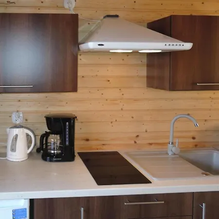 Terraced House In Near Baltic *